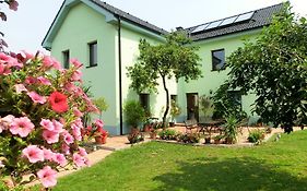 Vila Evicka